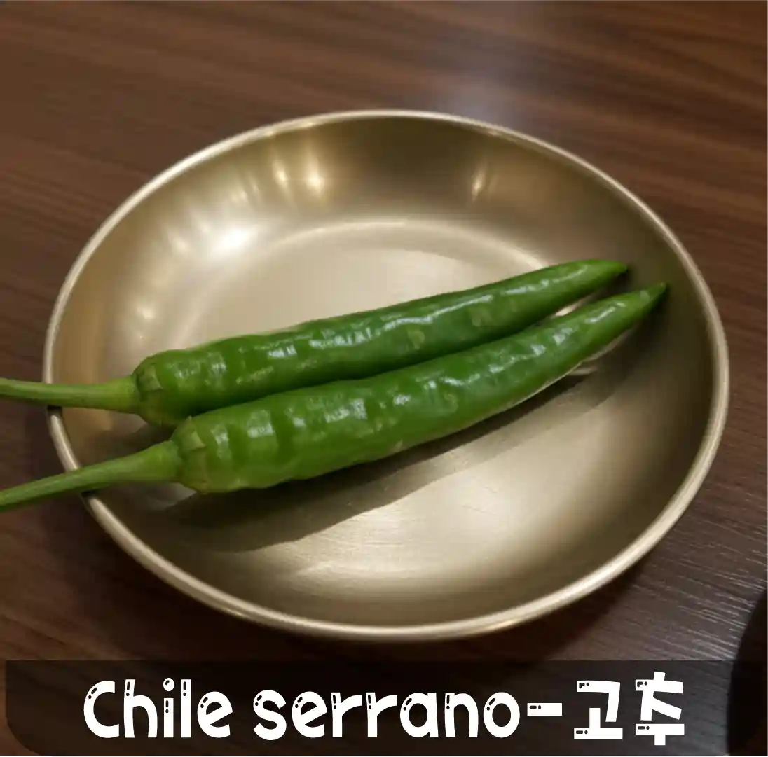 1 chile serrano