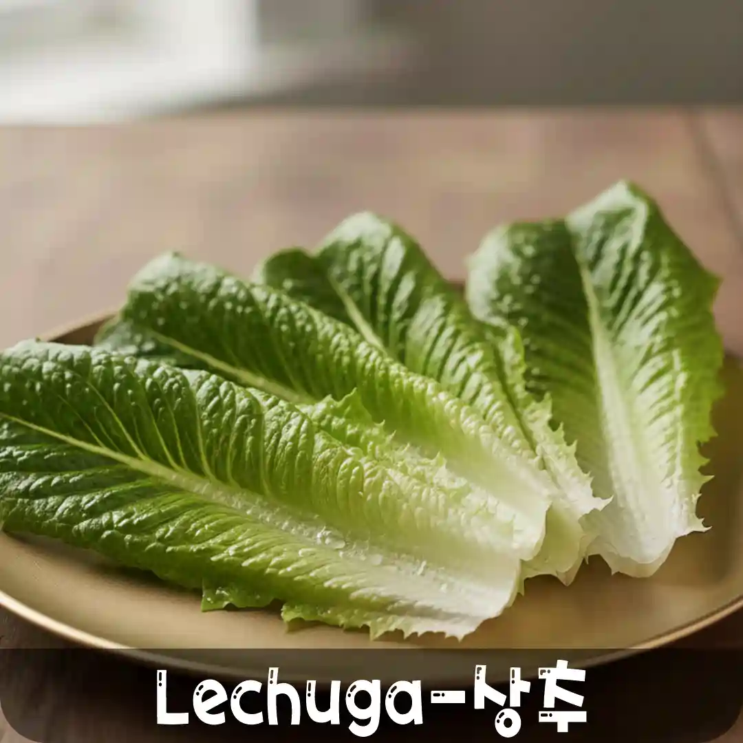 6 lechuga