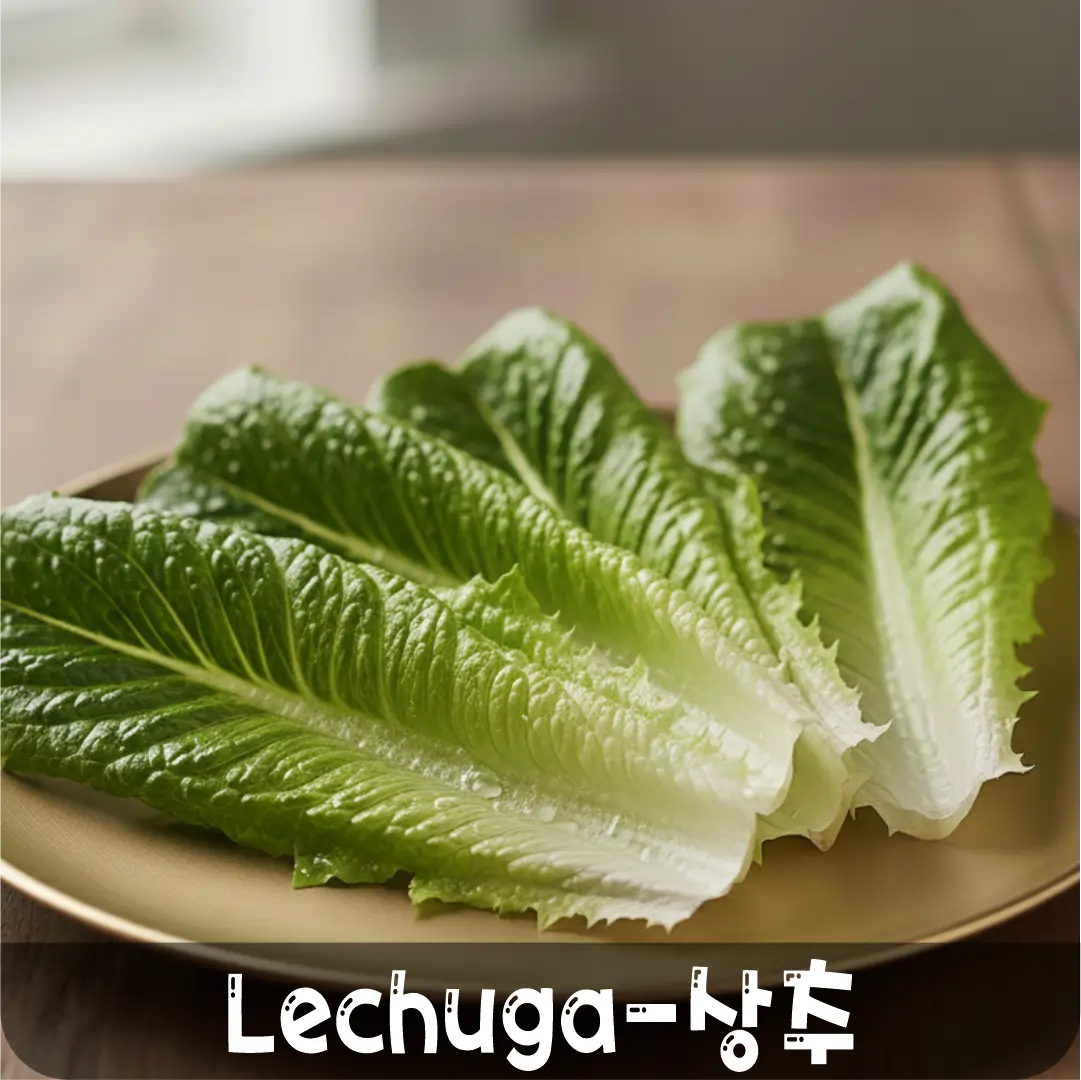 6 lechuga